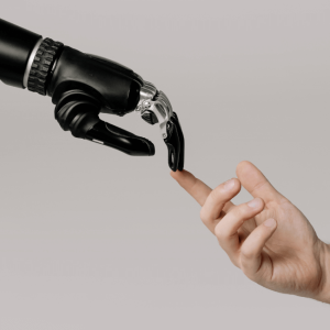 Contact Alphabet Secretarial