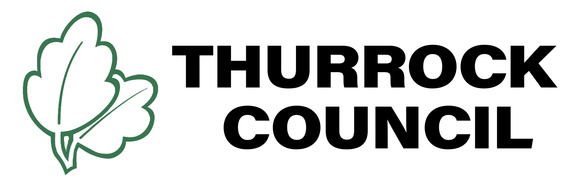 Fraud Investigator Thurrock Council